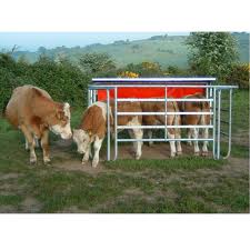 откормочная площадка для крупного рогатого скота
