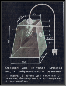 устройство овоскопа, схема-рисунок