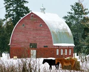 зимняя ферма, подготовка фермы к зиме