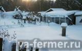 Зима на огороде