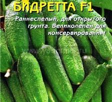 Огурцы сорта Бидретта