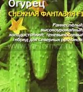 Огурцы сорта Снежная фантазия фото