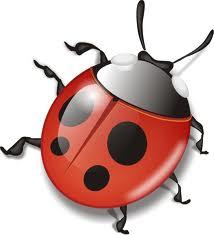 Полезные насекомые помогают в борьбе с тлёй