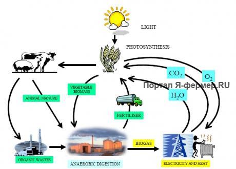 Цикл биогаза, схема. Как делать деньги из навоза