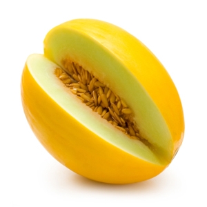 Полезный свойства дыни, рост и формирование дыни