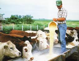 гигиена кормов и кормления сельскохозяйственных животных