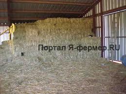 Сено фото