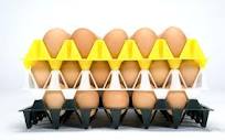 хранение пищевых яиц