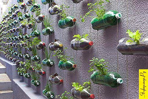  Как выращивать овощные и др. культуры в условиях нехватки пространства