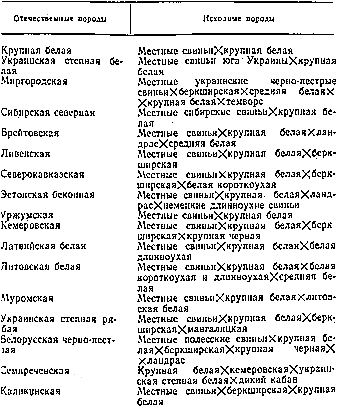 Происхождение отечественных пород свиней