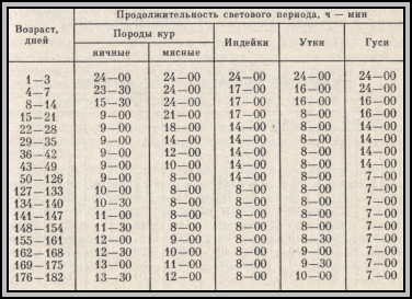 рекомендуемый режим освещения для птичников без окон