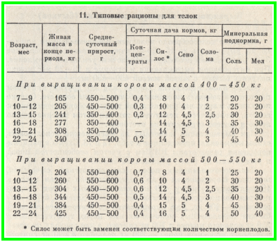 Температура бычка