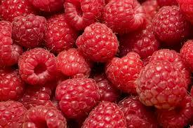 Личный опыт выращивания малины, моя технология выращивания малины