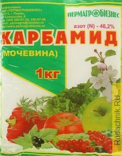 Если сожгли клубнику мочевиной