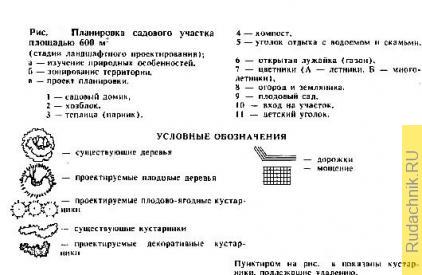 planirovka_sadovogo_uchastka.jpg