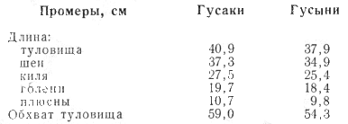 Промеры холмогорских гусей