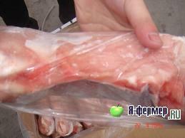 Оценка мясной продуктивности кроликов