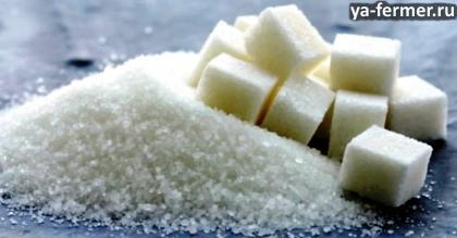 Спекулянты и посредники: почему россияне массово скупают сахар