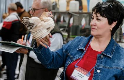 Прибыльное животноводство выставка