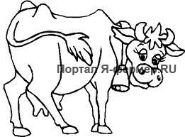 Мастит и отек вымени у коровы: симптомы, лечение, профилактика