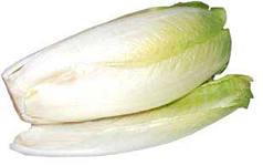  Салатный цикорий 