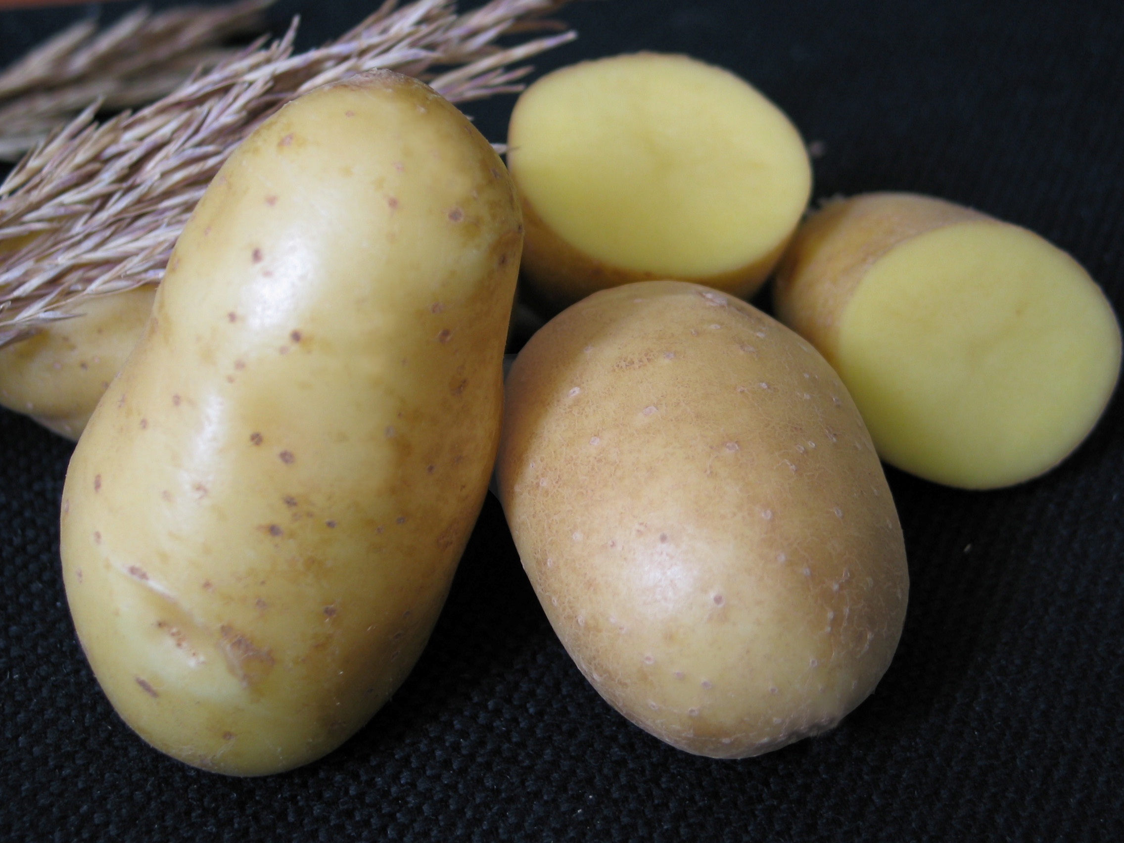Скороспелые сорта картофеля. Картофель семенной голубизна.
