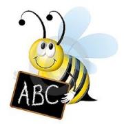 Анатомия и физиология медоносных пчёл