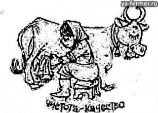 Чистота - качество молока.