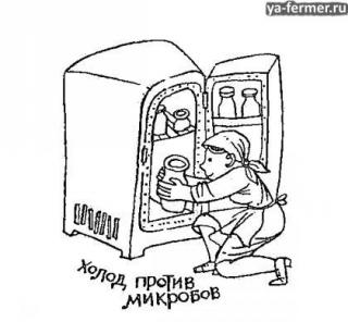 Холод против микробов.