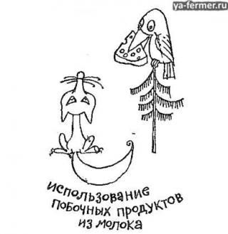 Использование побочных продуктов молока.