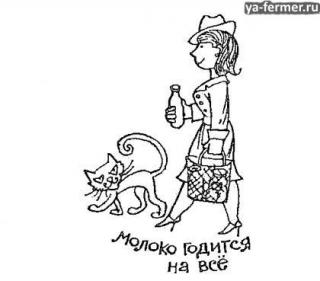 Молоко годится на всё