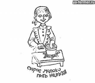 сырое молоко пить нельзя