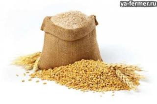 $23 млн экспорта клейковины: как Норвегия стала главным покупателем российского глютена — и три шага, чтобы войти в эту цепочку