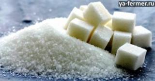 Сахар признан более опасным чем алкоголь из-за своей доступности