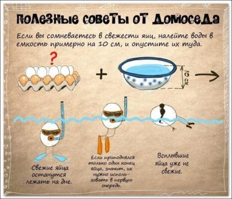 Как проверить яйца на свежесть.