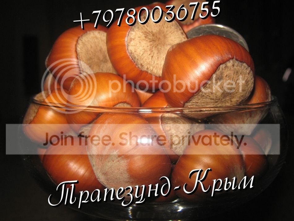 трапезунд