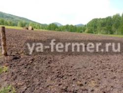 Вакансия с переездом на Алтайскую ферму