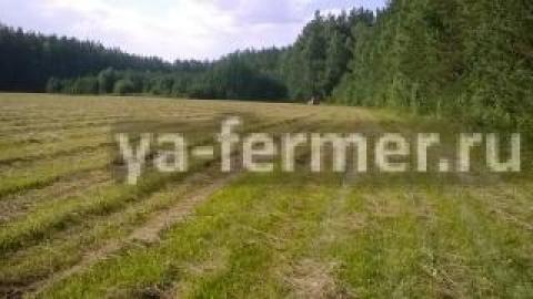 Земля в Свердловской области