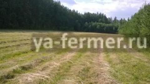 Земля в Свердловской области 