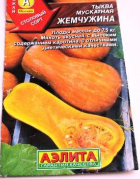 Тыква сорта Жемчужина фотография Тыква сорта Жемчужина фото