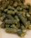 Витаминно-травяная мука в гранулах, продажи от 1 мешка 25 кг!