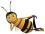 Термическая обработка пчёл для борьбы с варроатозом