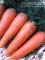 Семена моркови Шантенэ 2461 СеДеК