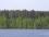 12,42 га Озеро Тригорское, сосновый лес. Выборгский район
