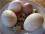 Яйца на еду и инкубационные