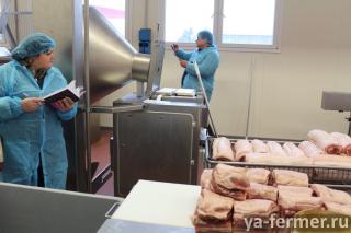 Изучение опыта Италии в организации производства сыровяленой колбасы