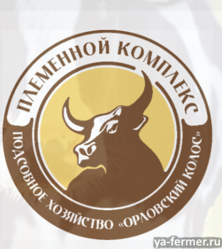 Семя быков-производителей