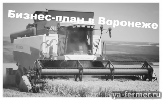 Бизнес-планирование в Воронеже (бизнес-план сельхоз предприятия, производства, переработки, оказания услуг)