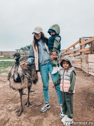 Более 10 тысяч туристов посетили страусиную ферму в Высокогорском районе