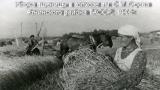 Аграрное производство ТАССР в годы Великой Отечественной войны: вклад сельских тружеников в Победу